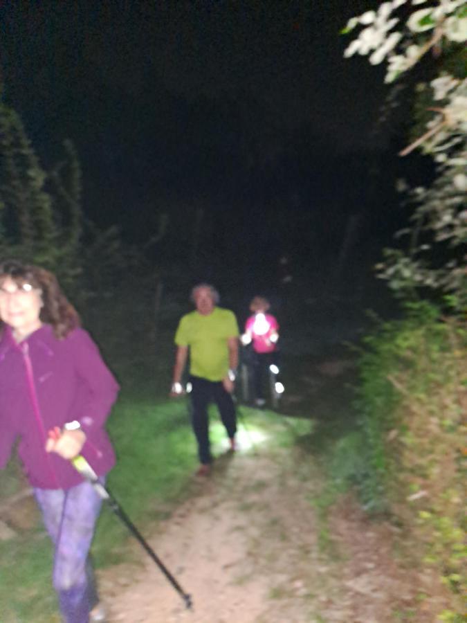 Locazione Turistica La Casetta Conegliano Buitenkant foto
